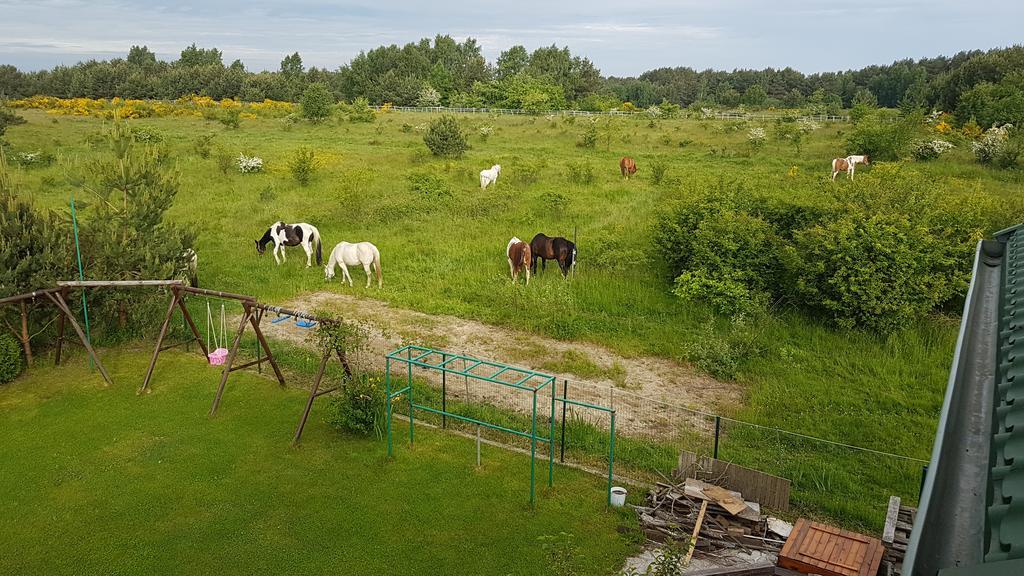 Anandaresort Władysławowo Dış mekan fotoğraf